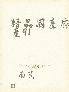 精品国产麻豆国产91