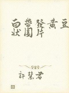 白带发黄豆腐渣状图片