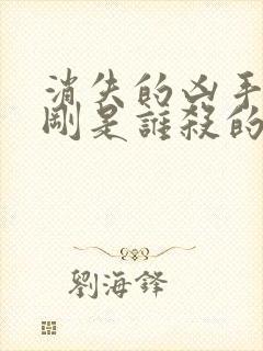 消失的凶手段志刚是谁杀的