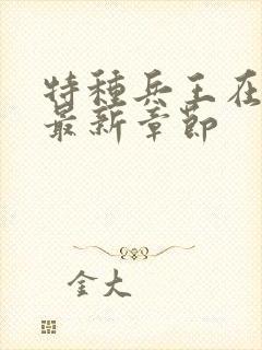 特种兵王在山村最新章节