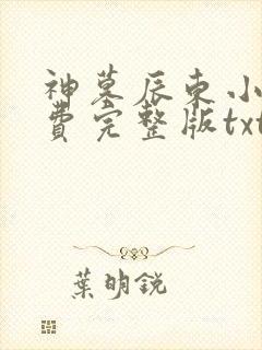 神墓辰东小说免费完整版txt封面