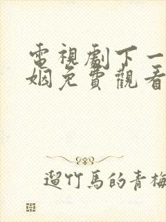 电视剧下一站婚姻免费观看全集剧情