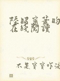 陆昭宁萧昀小说在线阅读