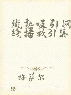 炽热吸引网剧在线播放31集