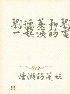 刘德华和刘嘉玲一起演的电影