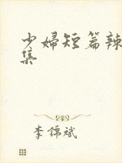 少妇短篇辣文合集封面