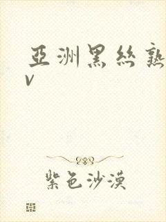 亚洲黑丝熟妇av封面