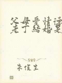 父母爱情德华和老丁结婚是第几集封面