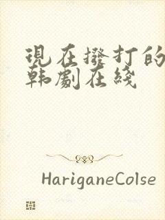 现在拨打的电话韩剧在线