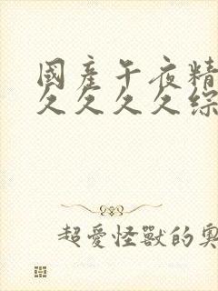 国产午夜精品久久久久久综合