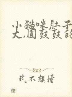 小猫咪肚子特别大,圆鼓鼓的是怎么回事