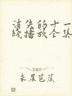 消失的十一层在线播放全集