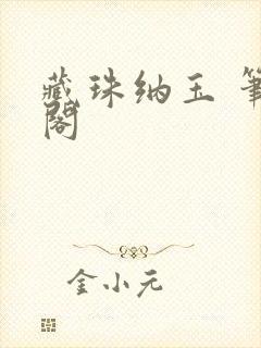 藏珠纳玉 笔趣阁