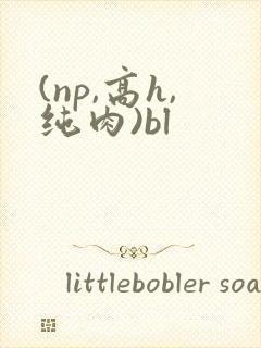 (np,高h,纯肉)bl