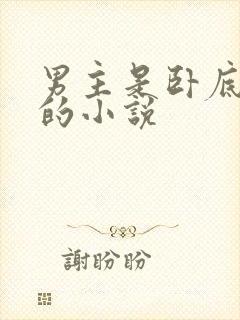 男主是卧底警察的小说