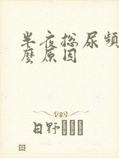 半夜总尿频是什么原因