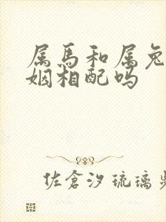 属马和属兔的婚姻相配吗