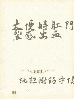 大便时肛门有撕裂感出血