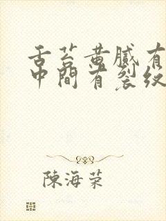 舌苔黄腻有齿痕中间有裂纹