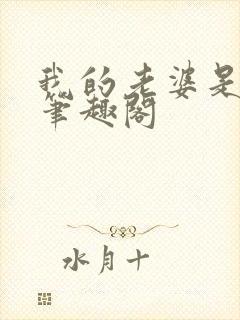 我的老婆是魅魔笔趣阁