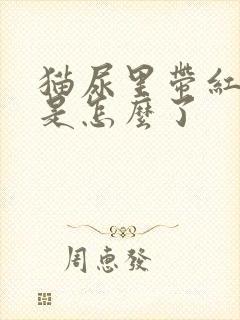 猫尿里带红色的是怎么了