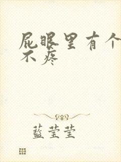 屁眼里有个肉球不疼