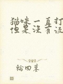 猫咪一直打喷嚏但是没有流鼻涕怎么办