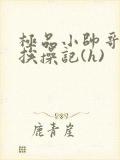 极品小帅哥连环挨操记(h)