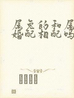 属兔的和属龙的婚配相配吗