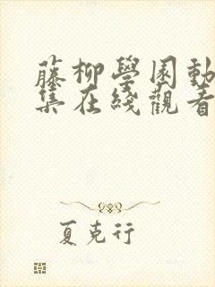 藤柳学园动漫全集在线观看免费