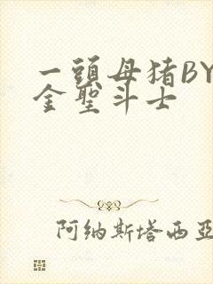 一头母猪BY黄金圣斗士