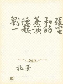 刘德华和张国荣一起演的电影