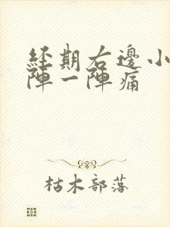 经期右边小腹一阵一阵痛封面