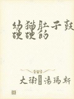 幼猫肚子鼓鼓的硬硬的