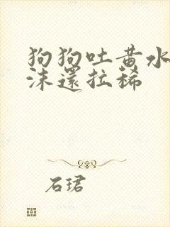 狗狗吐黄水带泡沫还拉稀