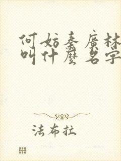 何妨秦广林小说叫什么名字