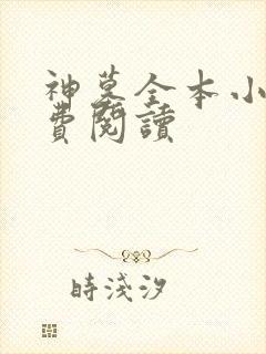 神墓全本小说免费阅读