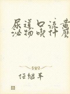 尿道口流黄色分泌物吃什么药