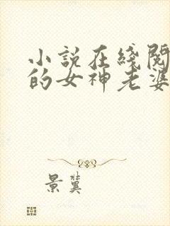 小说在线阅读我的女神老婆