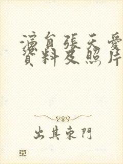 演员张天爱个人资料及照片