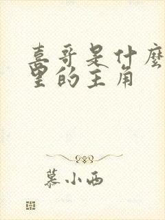 喜哥是什么电影里的主角