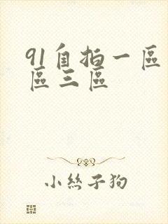 91自拍一区二区三区