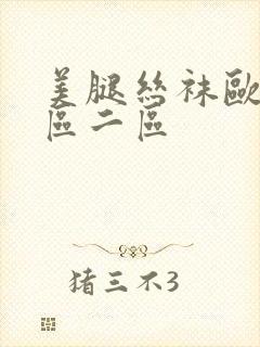 美腿丝袜欧美一区二区