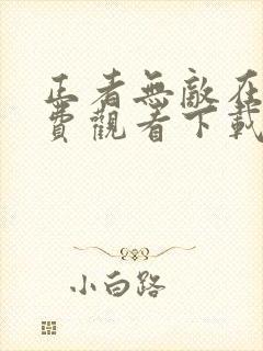 正者无敌在线免费观看下载