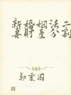 新婚姻法二婚夫妻财产分割