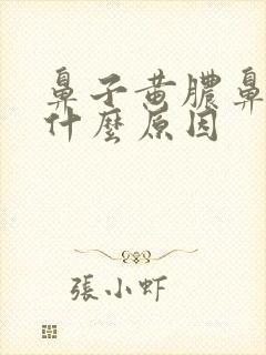 鼻子黄脓鼻涕是什么原因