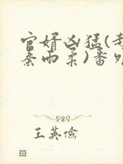 官婿凶猛(赵阳秦雨柔)番外+大结局小说