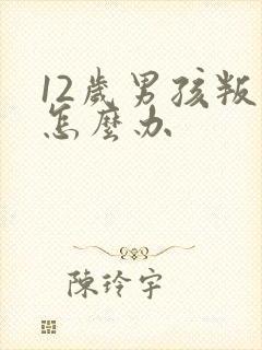 12岁男孩叛逆怎么办