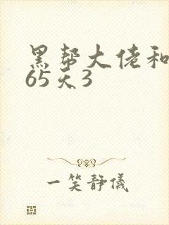 黑帮大佬和我365天3