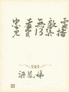 忠者无敌电视剧免费13集播放下载